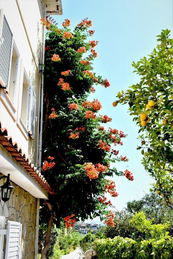 Villa Dionysios Keri Exterior photo